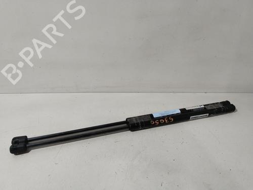Used Tailgate lift support RENAULT SCÉNIC II (JM0/1_) 1.9 dCi (JM14) (131 hp) 31354080