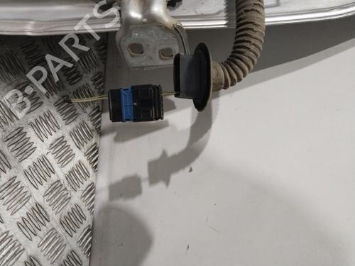 Left rear door DACIA SANDERO  | BP17069183C4