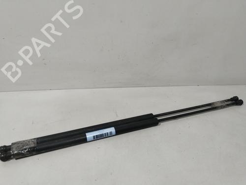 Gassdemper Bakluke CITROËN XSARA PICASSO (N68) 2.0 HDi (90 hp) 29750042
