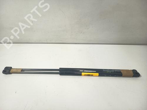 tailgate-lift-support-citroen-c4-coupe-la_-2004-2005-2006-2007-2008-2009-2010-2011-2012-2013-35793931 main image
