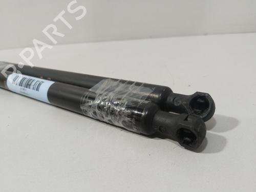 Tailgate lift support RENAULT LAGUNA II (BG0/1_) 1.9 dCi (BG08, BG0G) | BP28731220C138 