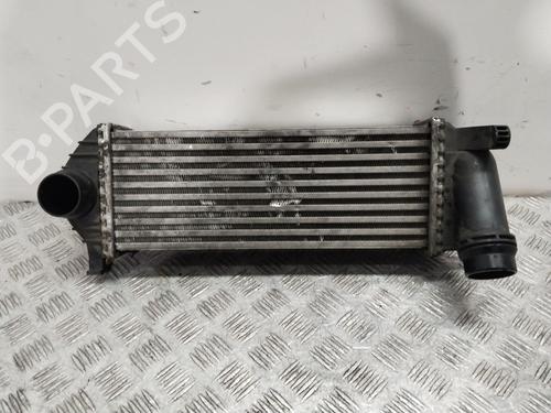 Intercooler MERCEDES-BENZ CITAN Box Body/MPV (W415) 111 CDI (415.603, 415.605) Y5665003