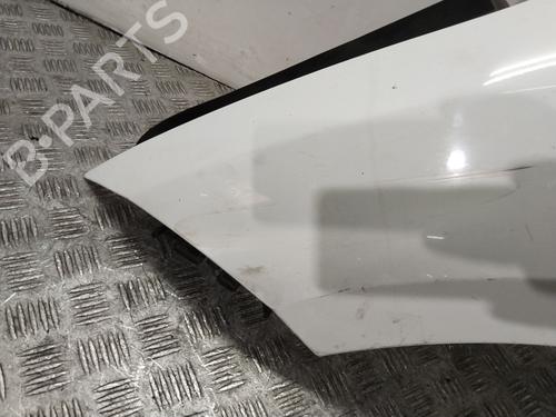 Left front fenders RENAULT MEGANE III Hatchback (BZ0/1_, B3_)  | BP29377595C41