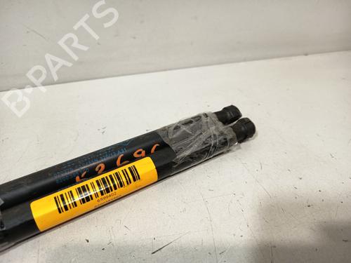 Tailgate lift support RENAULT TWINGO II (CN0_) 1.5 dCi 75 | BP32326202C138