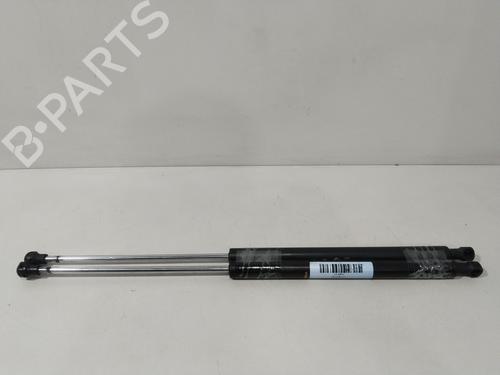 Used Tailgate lift support RENAULT LAGUNA II (BG0/1_) 1.9 dCi (BG08, BG0G) (120 hp) 28731220