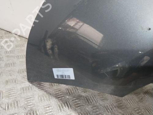 Left front fenders CITROËN C4 Picasso I MPV (UD_) 1.6 HDi | BP29377589C41 