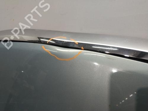 Hood FORD C-MAX (DM2) 1.6 TDCi | BP32018918C1 