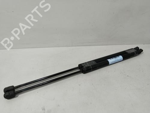 Used Tailgate lift support RENAULT MEGANE II Estate (KM0/1_) [2003-2012]  29641051