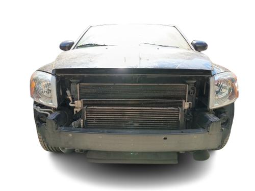 - Image 6