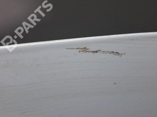 Hood RENAULT CLIO III (BR0/1, CR0/1)  | BP8116867C1 