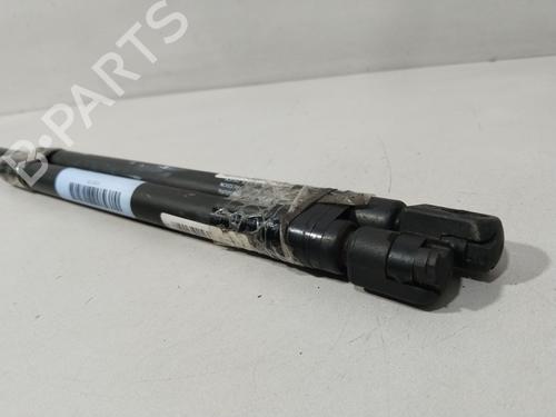 Tailgate lift support NISSAN PRIMERA Hatchback (P12) 1.9 dCi | BP29754933C138