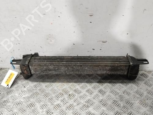 Intercooler CITROËN NEMO MPV 1.4 HDi | BP40080010M30 - Image 3