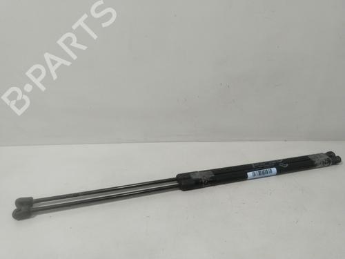 tailgate-lift-support-ford-c-max-ii-dxacb7-dxaceu-2010-2011-2012-2013-2014-2015-2016-2017-2018-2019-29616230 main image