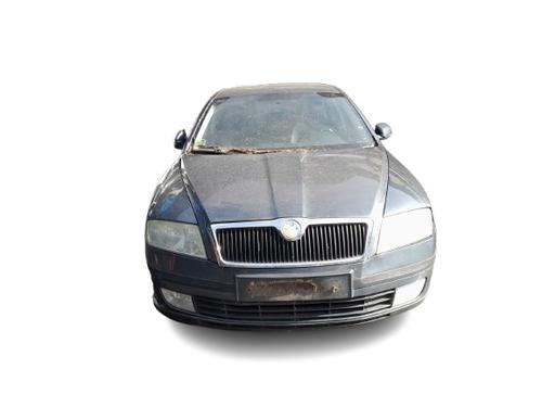 Used Parts SKODA OCTAVIA II (1Z3) 1.9 TDI (105 hp) 4418264