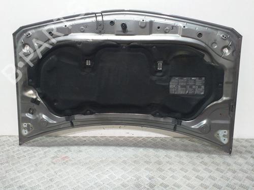 Hood RENAULT MEGANE II (BM0/1_, CM0/1_)  | BP13820040C1 