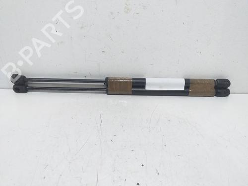Used Tailgate lift support RENAULT MEGANE I (BA0/1_) [1995-2004]  16372663