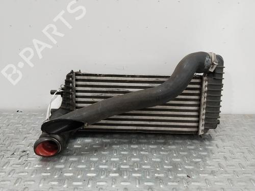 Used Intercooler Intercooler FORD TRANSIT CONNECT V408 Box Body/MPV 1.6 TDCi (115 hp) 36166811 36166811