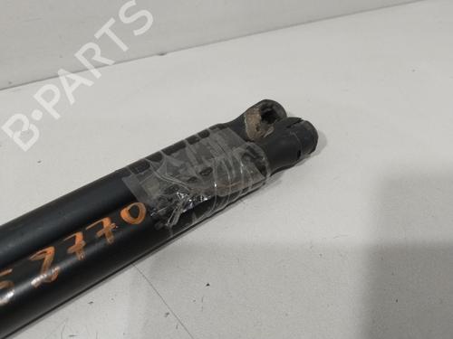 Tailgate lift support RENAULT SCÉNIC II (JM0/1_) 1.6 (JM0C, JM0J, JM1B) | BP29915636C138