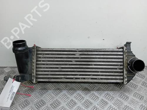 Used Intercooler Intercooler MERCEDES-BENZ CITAN Box Body/MPV (W415) 109 CDI (415.601, 415.603, 415.605) (90 hp) 15641413 15641413