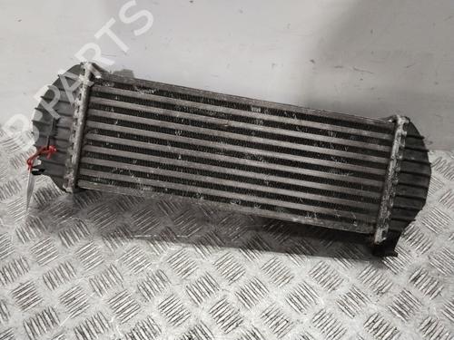 Intercooler MERCEDES-BENZ CITAN Box Body/MPV (W415) 111 CDI (415.603, 415.605) | BP25921582M30 