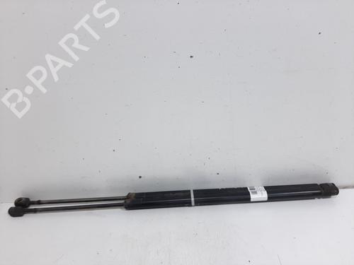 Tailgate lift support FORD FIESTA V (JH_, JD_)  | BP17123130C138 