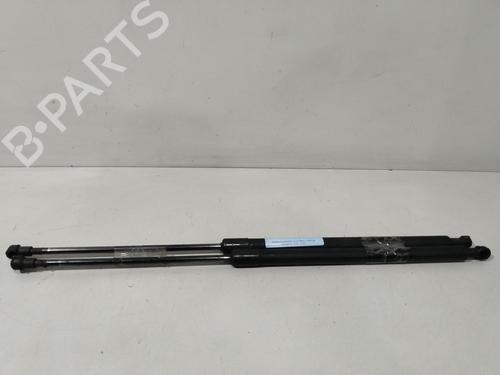 Used Tailgate lift support NISSAN X-TRAIL I (T30) [2001-2013]  29754930