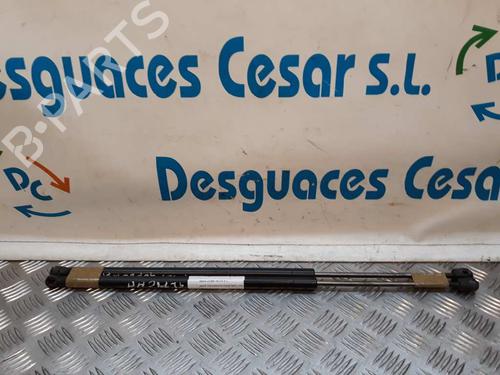 Used Tailgate lift support FORD FIESTA V (JH_, JD_) [2001-2014]  14066256