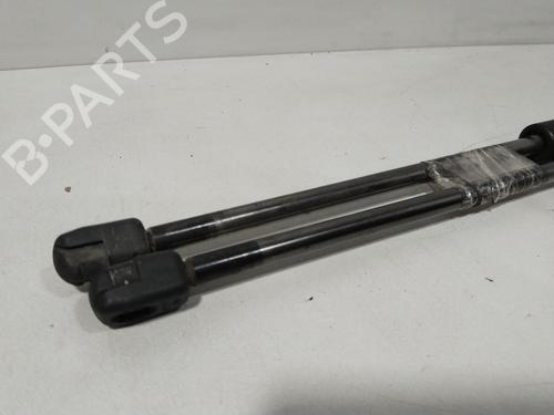 Tailgate lift support FIAT STILO Multi Wagon (192_) 1.6 16V | BP29639460C138 