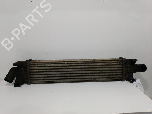 Used Intercooler FORD TOURNEO CONNECT [2002-2013]  9508769