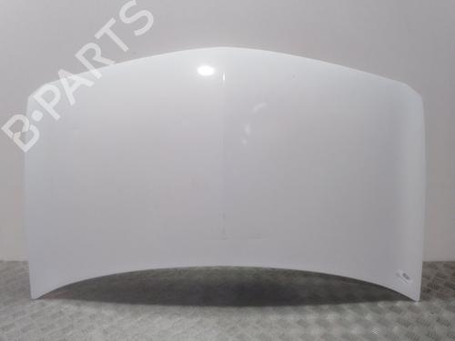 Used Hood RENAULT MEGANE II (BM0/1_, CM0/1_) 1.9 dCi (131 hp) 12256666