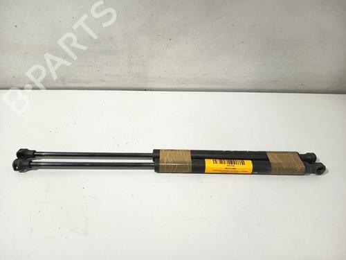 tailgate-lift-support-peugeot-307-3ac-2000-2001-2002-2003-2004-2005-2006-2007-2008-2009-2010-2011-2012-35785446 main image