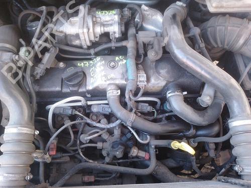 Hood FORD TRANSIT CONNECT (P65_, P70_, P80_) | BP30100755C1