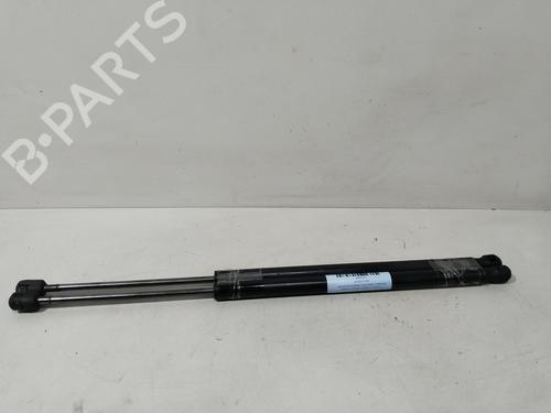 Used Tailgate lift support RENAULT GRAND SCÉNIC II (JM0/1_) [2004-2009]  29641054