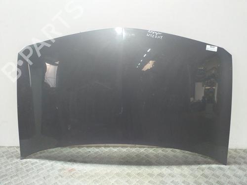 Used Hood RENAULT MEGANE II (BM0/1_, CM0/1_) [2001-2012]  13820040