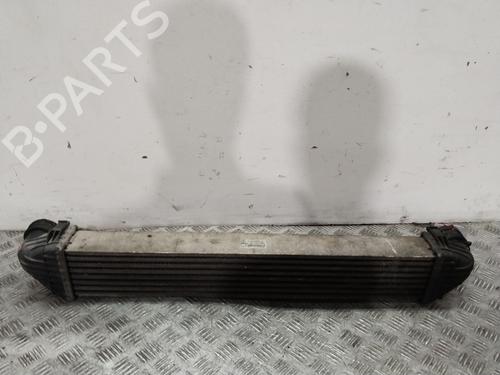 Intercooler MERCEDES-BENZ A-CLASS (W169) A 180 CDI (169.007, 169.307) | BP29811391M30 