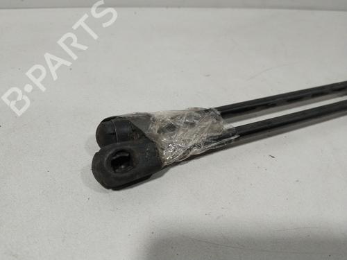 Tailgate lift support CITROËN C3 I (FC_, FN_) 1.4 HDi | BP29639463C138 