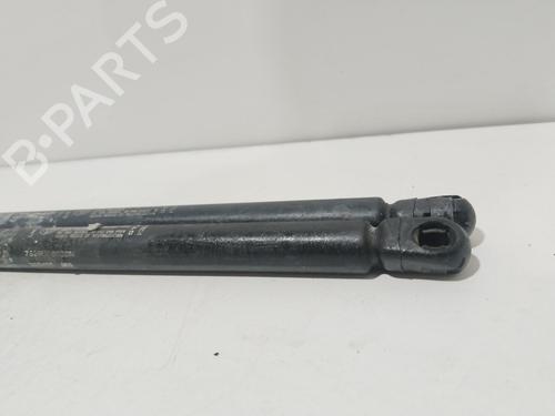 Tailgate lift support FIAT BRAVO I (182_) | BP14065745C138