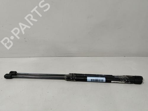 Used Tailgate lift support NISSAN PRIMERA Hatchback (P12) 1.9 dCi (120 hp) 29754933