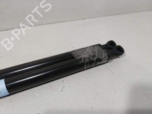 Tailgate lift support CITROËN XSARA PICASSO (N68) 1.6 HDi | BP29854012C138 