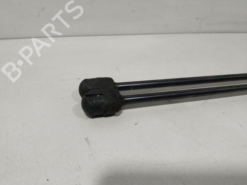 Tailgate lift support RENAULT GRAND SCÉNIC II (JM0/1_) 1.9 dCi (JM14) | BP29854015C138