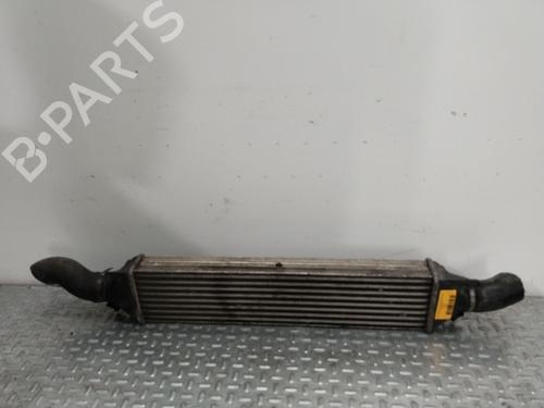 Used Intercooler Intercooler OPEL COMBO Box Body/MPV (X12) 1.3 CDTI (B05) (90 hp) 36165579 36165579