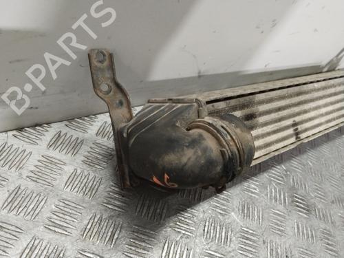 Intercooler SEAT ALHAMBRA (7V8, 7V9) 1.9 TDI | BP29752103M30