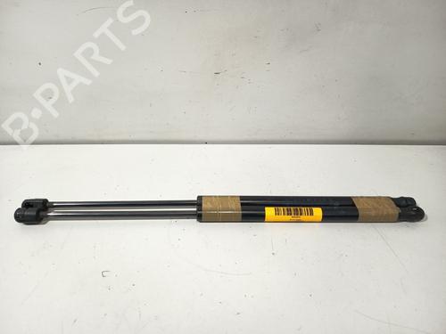 Used Tailgate lift support Tailgate lift support DODGE CALIBER 2.0 CRD (140 hp) 36295036 36295036