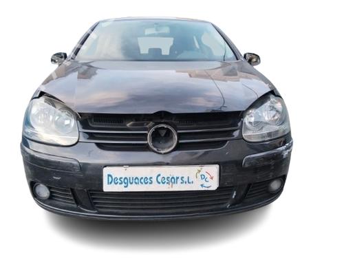 Brugte VW GOLF V (1K1) 1.9 TDI (105 hp) 4420612