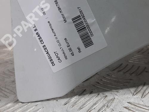 Hood RENAULT CLIO III (BR0/1, CR0/1)  | BP8116867C1 
