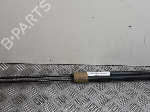 Gassdemper Bakluke CITROËN C4 Picasso I MPV (UD_) [2006-2015]  14067280