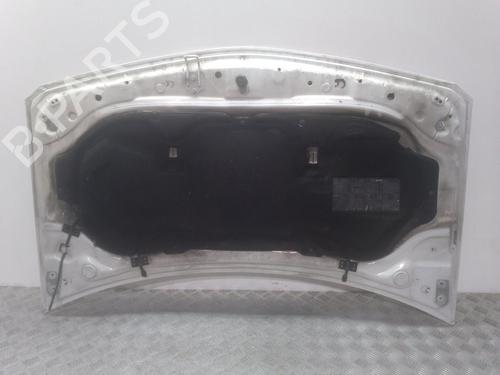 Hood RENAULT MEGANE II (BM0/1_, CM0/1_) 1.9 dCi | BP12256666C1 