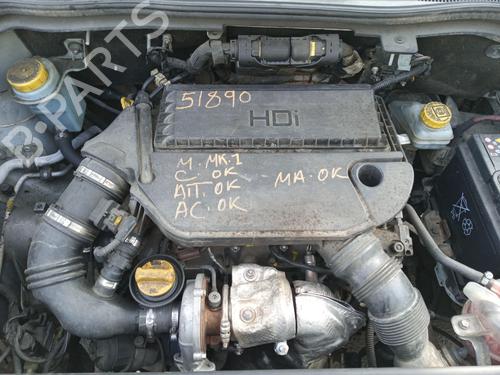 - Image 4