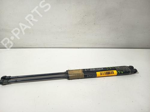 tailgate-lift-support-fiat-grande-punto-199_-2005-34378130 main image