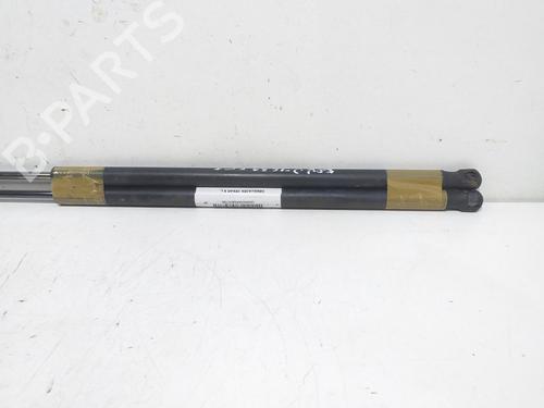 Tailgate lift support FORD FIESTA V (JH_, JD_)  | BP16372598C138 